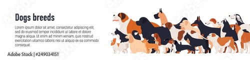 Horizontal web banner template for conformation dog show with adorable doggies of different breeds and place for text. Colorful vector illustration in flat cartoon style for event announcement.
