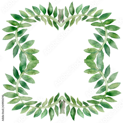 Tropical climbing plants. Watercolor openwork frame  vine branches isolated on white background. Hand painted green leaves  branches for beautiful design with space for text.