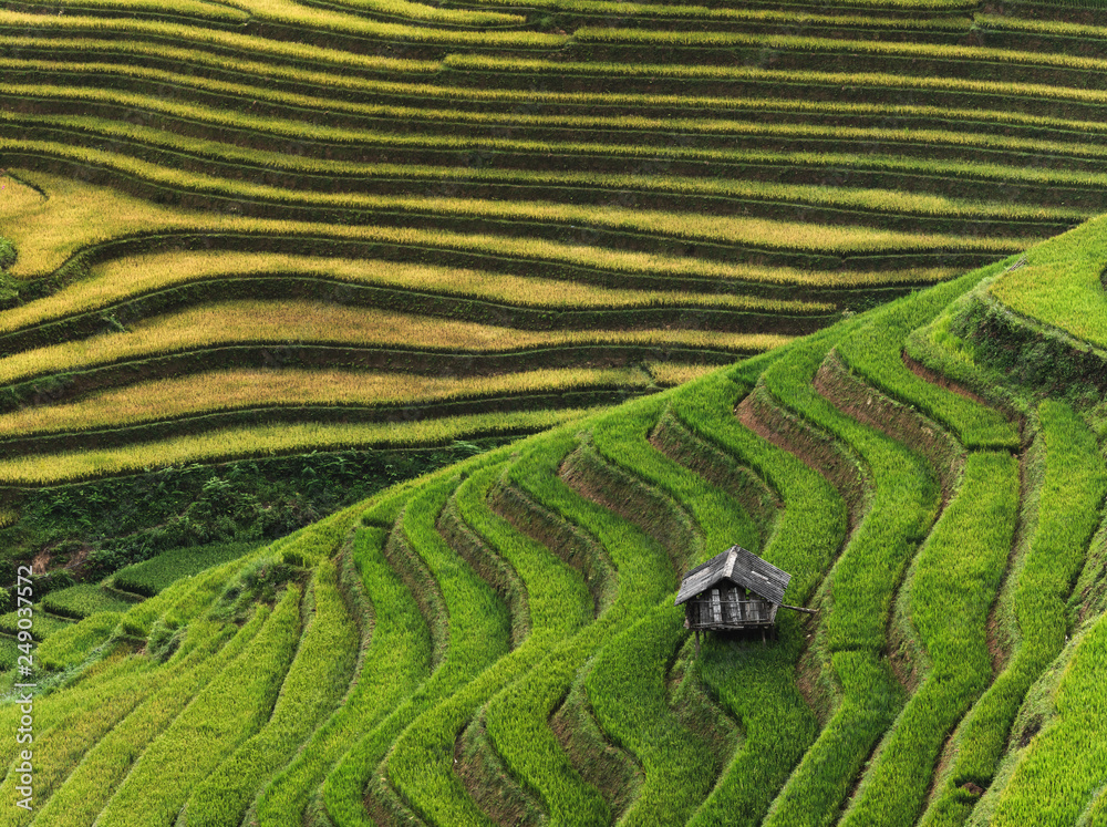 Rice terrace Mountains in Mu can chai, Vietnam