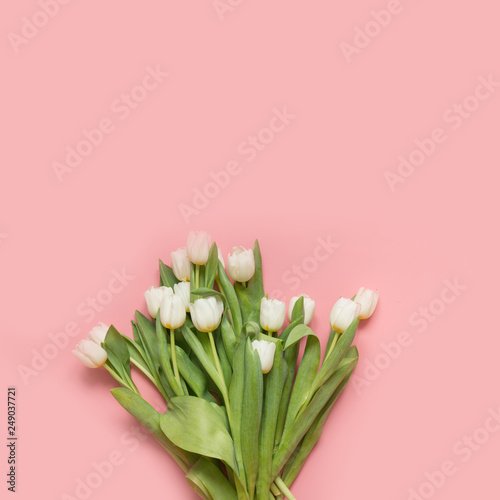 Fototapeta Naklejka Na Ścianę i Meble -  Bouquet of white tulip on pastel millennial pink. Top view with copy space.