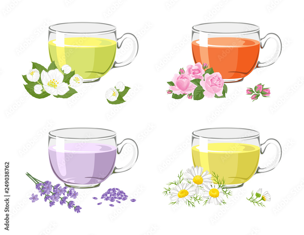 Set of flower tea. Glass cups with lavender, chamomile, jasmine and rose tea  isolated on white background. Vector illustration of floral, herbal drinks  in a cartoon, flat style. Stock Vector | Adobe