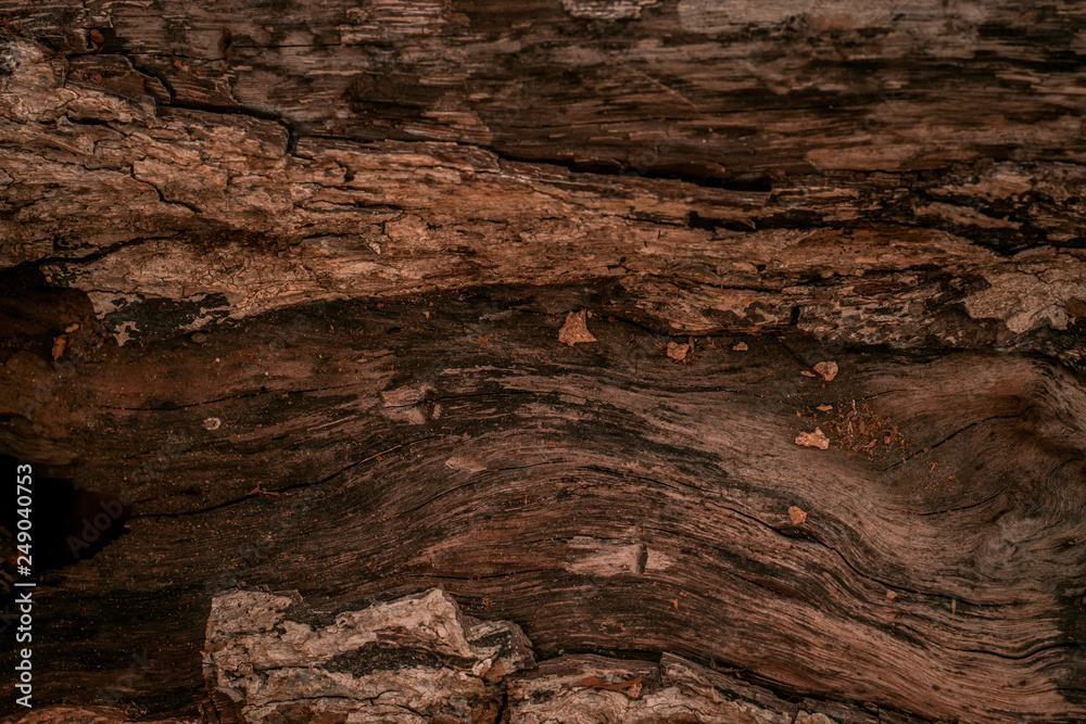 wooden texture background