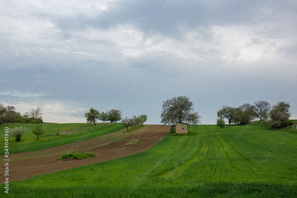 Fields in Moravia.near Mistrin, Czech Republic