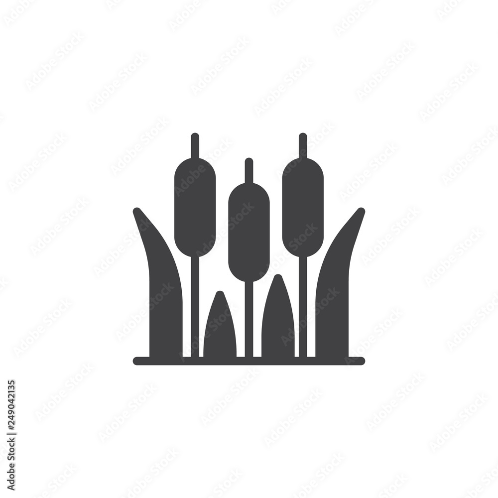 Reeds plant vector icon. filled flat sign for mobile concept and web design. Reeds grass simple solid icon. Cattail symbol, logo illustration. Pixel perfect vector graphics