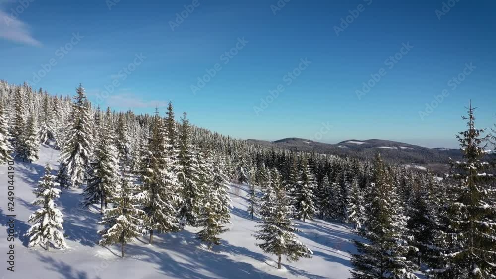 Aerial 4k top view of snow covered winter forest in the mountains by drone Aerial 4k top view of snow covered winter forest in the mountains by drone