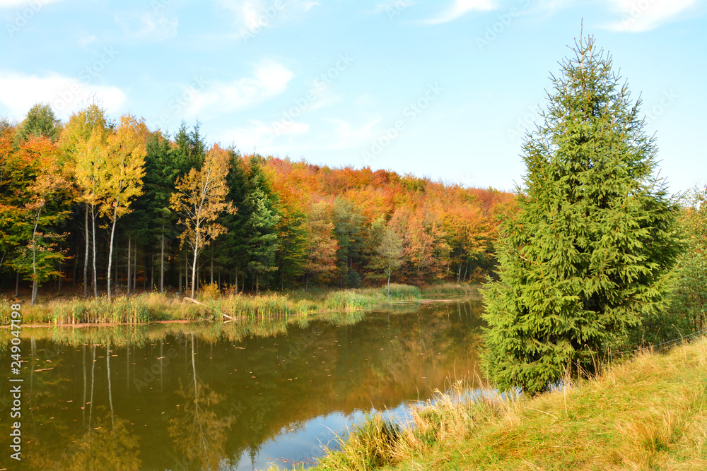 piękna kolorowa jesień, jezioro