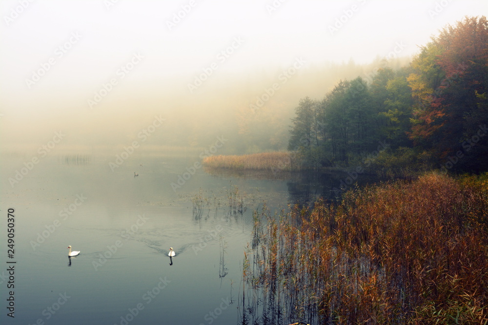 mglisty poranek nad jeziorem, jesień