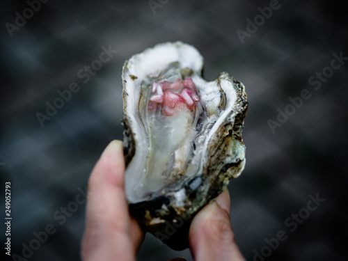 Fresh Oyster with red onion and lemon in a market.