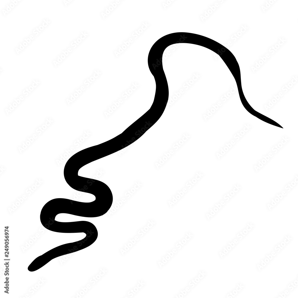 Fototapeta premium snake crawling, black silhouette