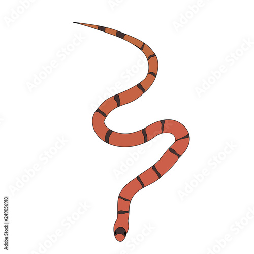 snake striped, isolated, vector