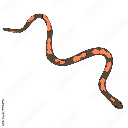 snake crawling, isolated