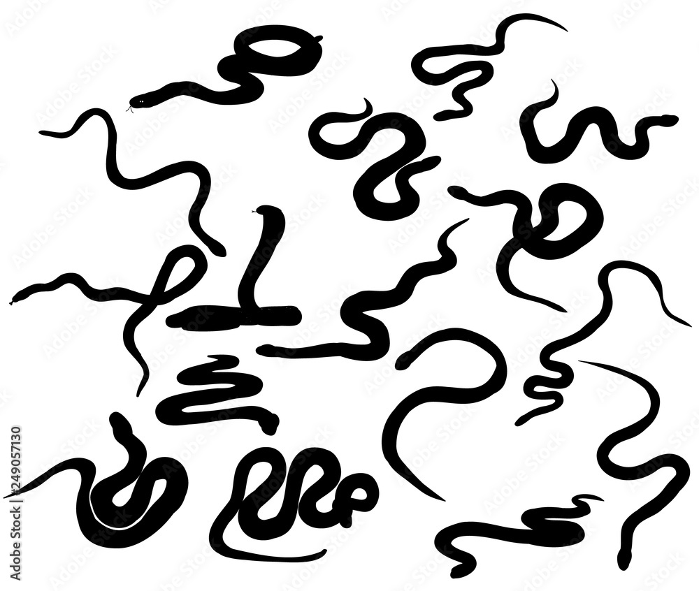 snake crawling, silhouette, set isolated, vector snake crawling, silhouette, set isolated, vector