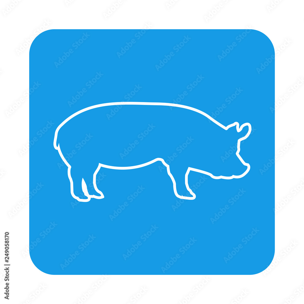 Icono plano lineal silueta de cerdo en cuadrado color azul Icono plano lineal silueta de cerdo en cuadrado color azul