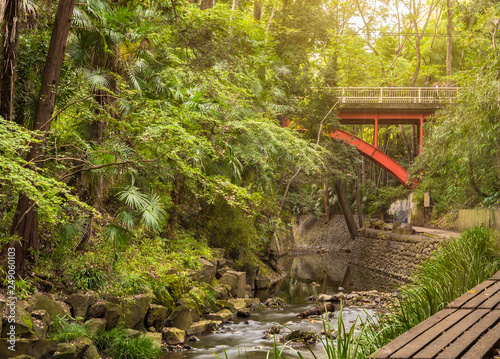 Red metal bridge of Todoroki park in the Setagaya district of Tokyo.