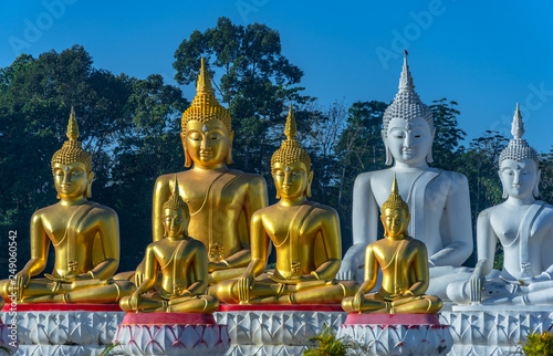 a lot of Buddha statues in the large field at  Tungsong Nakornsrithammarat