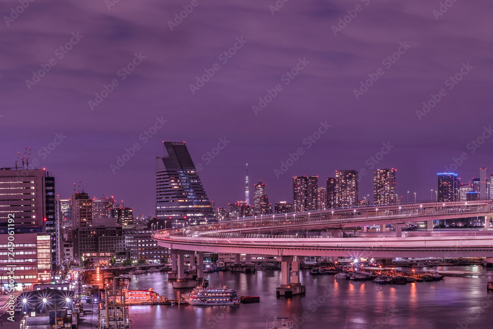 Purple night on circular highway leading to the Rainbow Bridge with Cargo and cruise ships moored or sailing in Odaiba Bay of Tokyo.