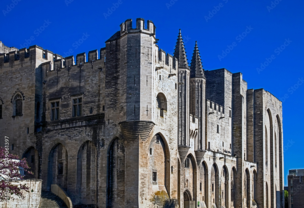 Pope's palace in Avignon, France	