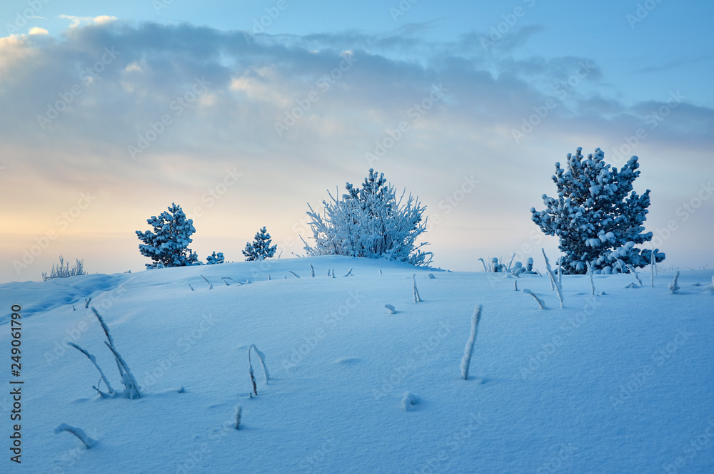 Obraz premium Beautiful Christmas landscape