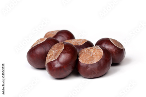 Small pile of fresh chestnuts, many conkers isolated on white background, closeup photo