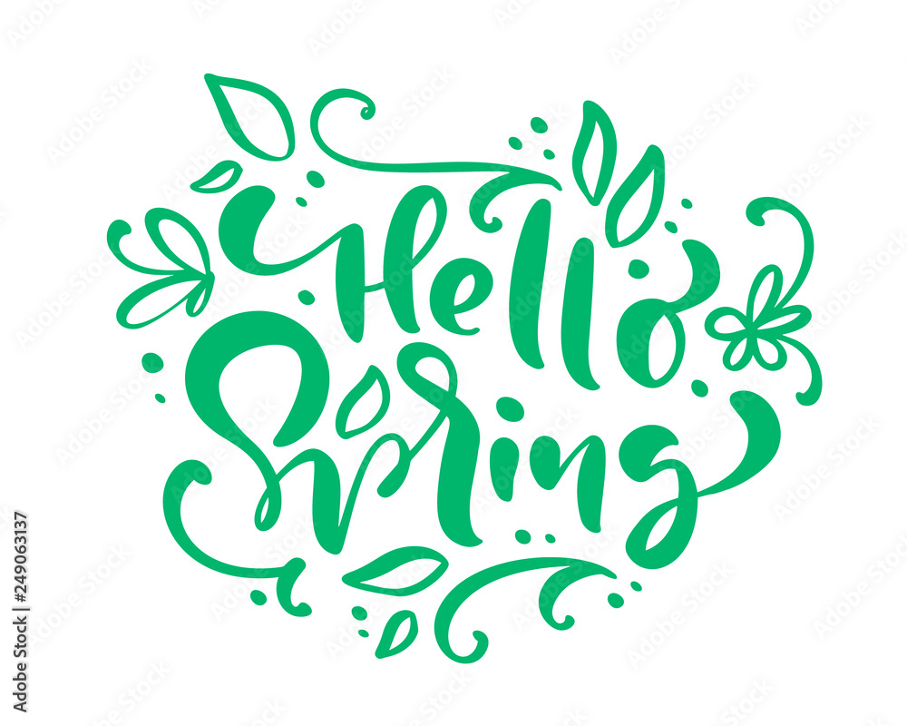 Hello Spring Calligraphy lettering phrase Hello Spring. Vector Hand Drawn Isolated text. sketch doodle design for greeting card, scrapbook, print