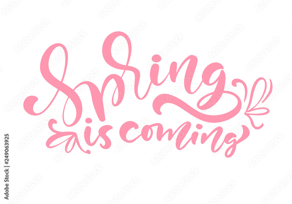 Pink Color Calligraphy lettering phrase Spring Is Coming. Vector Hand Drawn Isolated text. sketch doodle design for greeting card, scrapbook, print