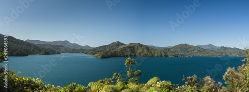 Panoramic view of the Marlborough Sounds, New Zealand photo