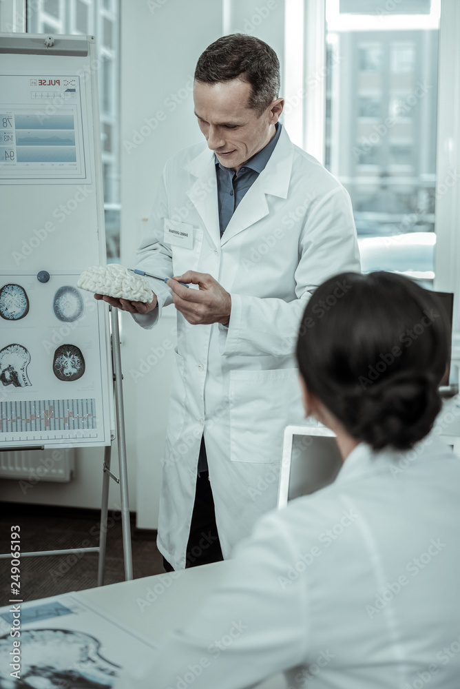 Fototapeta premium Executive doctor presenting gypsum model of brain during consultation