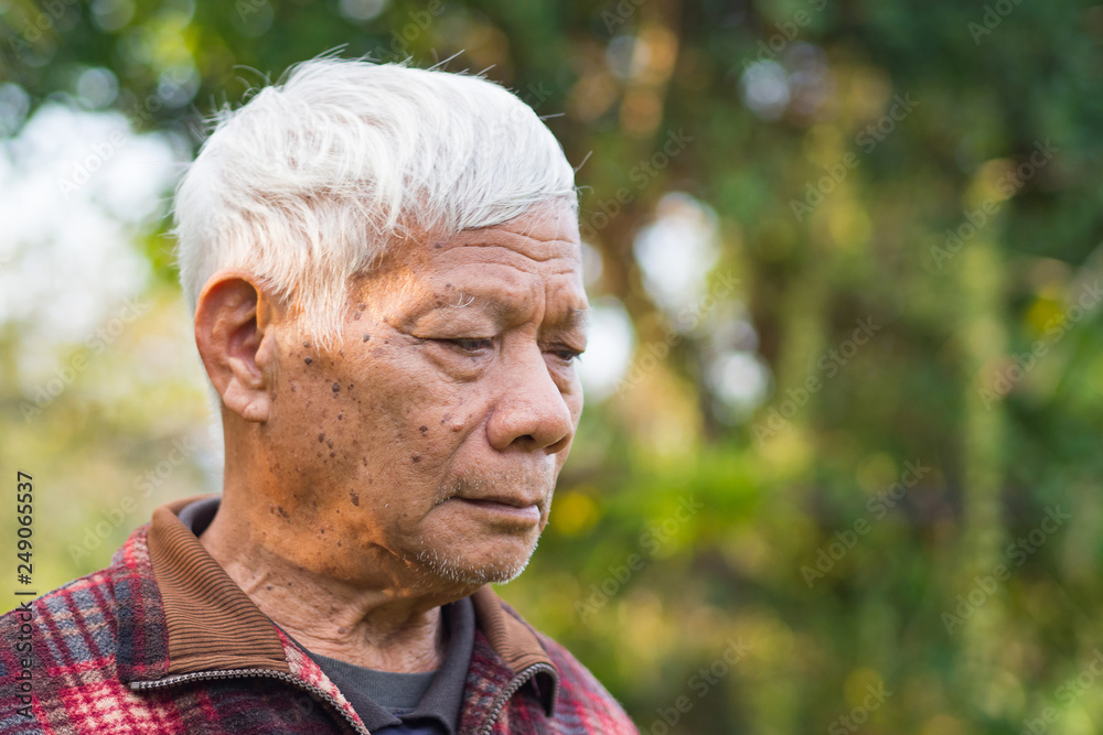 Portrait of elderly man standing in his garden. Portrait of elderly man standing in his garden.