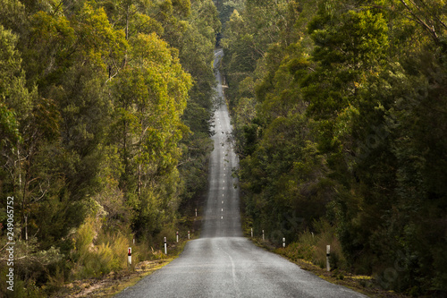 Gordon River Road, Tasmania