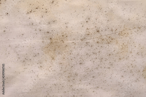 mold on dirty fabric texture © srckomkrit