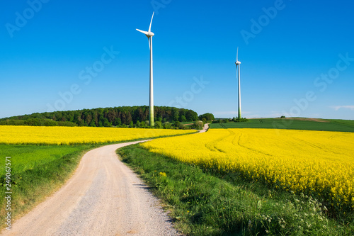 Ein Feldweg zwischen zwei Rapsfeldern im Frühling mit Windrädern im Hintergrund