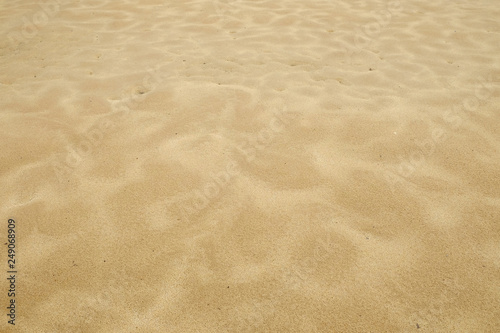 Sand beach texture