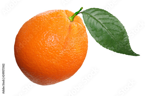delicious orange fruit on an isolated white background. Very tasty fruit. kiwi on white