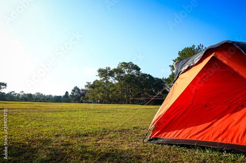 Orange tent set on a green lawn.