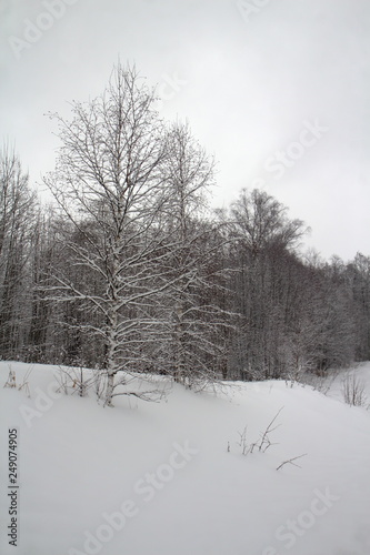  Winter in Russia