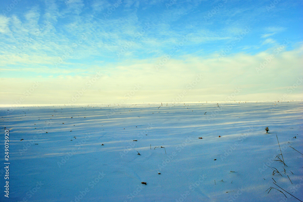 Obraz premium Hills covered with snow, field with sunflower cut stems, winter landscape, bright blue-golden cloudy evening sky