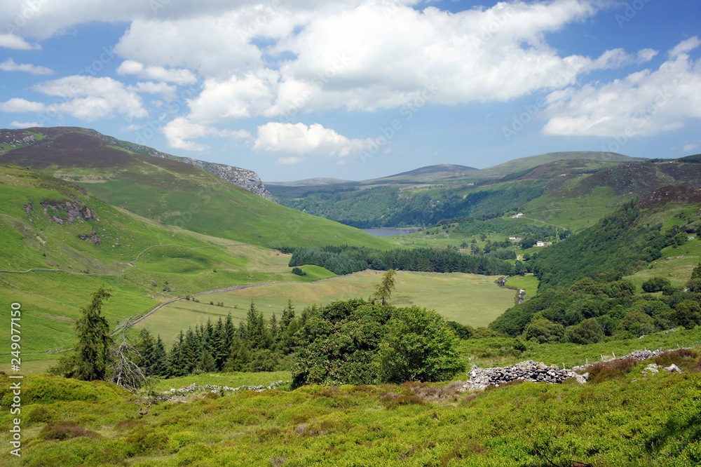 In the middle of summer in the Wicklow Mountains.Ireland.Valley of the Cloghoge River. In the middle of summer in the Wicklow Mountains.Ireland.Valley of the Cloghoge River.