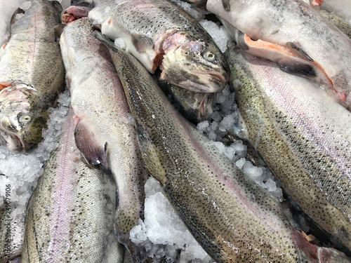 Принти на полотні raw fishes on ice in a fishmarket