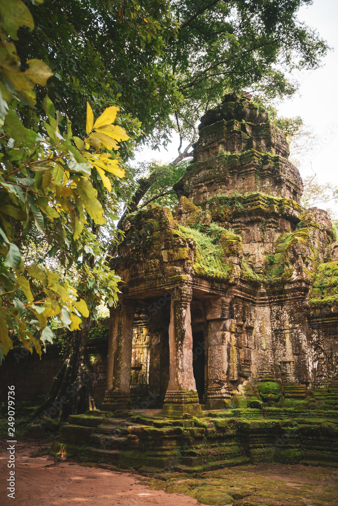 Ta Prohm Ta Prohm
