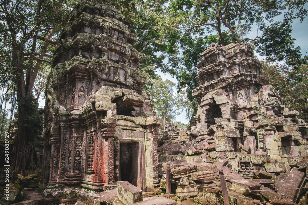 Ruine Ta Prohm Tempel, Angkor, Kambodscha
