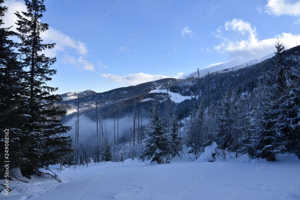 Dolina Koscieliska Tatry Zachodnie Tatrzański Park Narodowy zima TPN Góry  - obrazy, fototapety, plakaty 