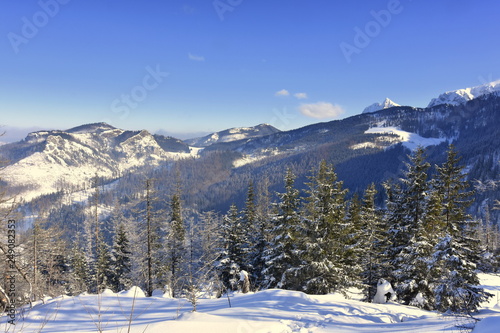 Dolina Koscieliska Tatry Zachodnie Tatry Tatrzański Park Narodowy zima TPN Góry 