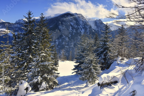 Dolina Koscieliska Tatry Zachodnie Tatry Tatrzański Park Narodowy zima TPN Góry  photo