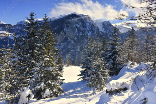 Dolina Koscieliska Tatry Zachodnie Tatry Tatrzański Park Narodowy zima TPN Góry 