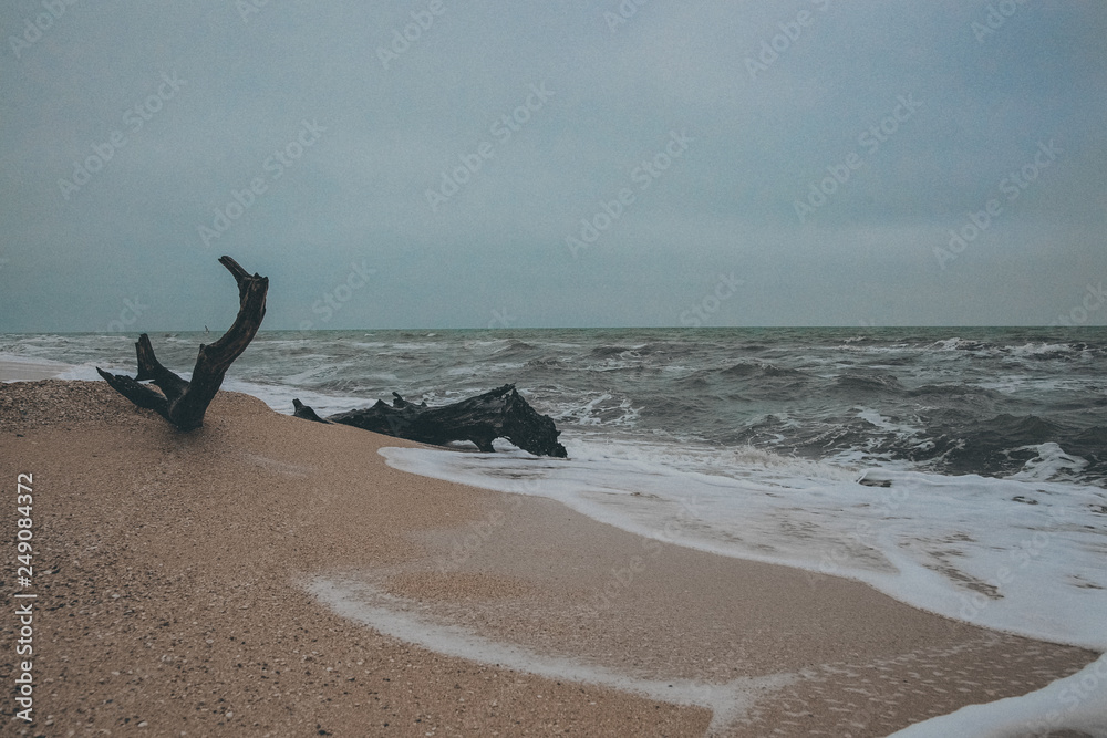 Sea waves on the beach with yellow sand and flooded tree in cloudy weather