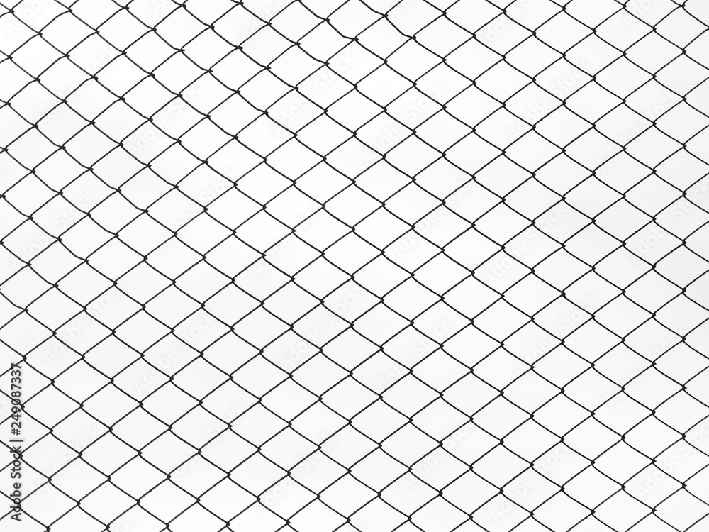 Fototapeta premium Decorative wire mesh