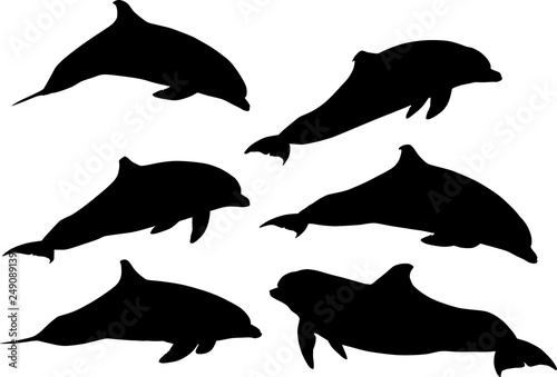 six silhouettes of dolphins isolated on white