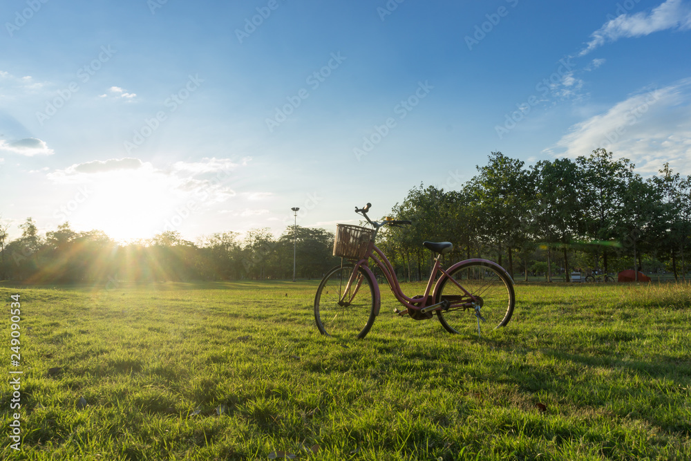Naklejka premium Bicycle on green grass under blue sky, sunset.