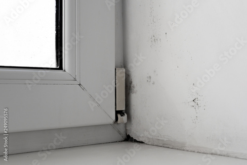 mold in the corner of the window on a white wall Texture background
