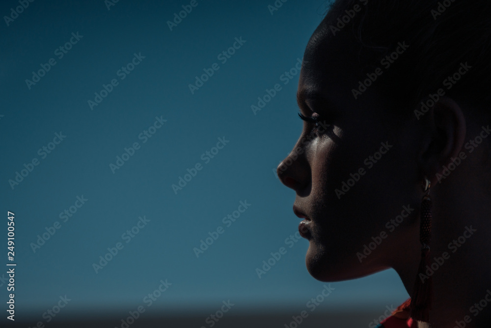 Fashionable portrait of a female profile on a dark background